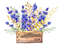 box-with-flowers